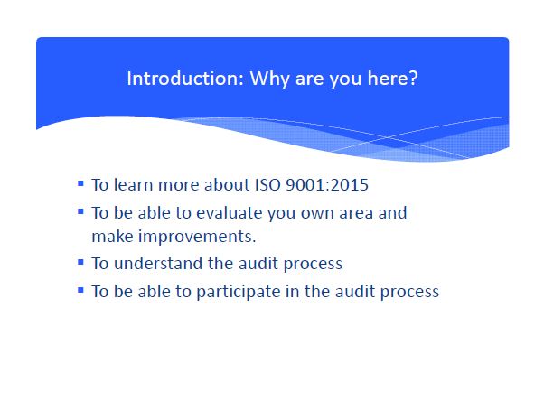 Guide to internal auditing